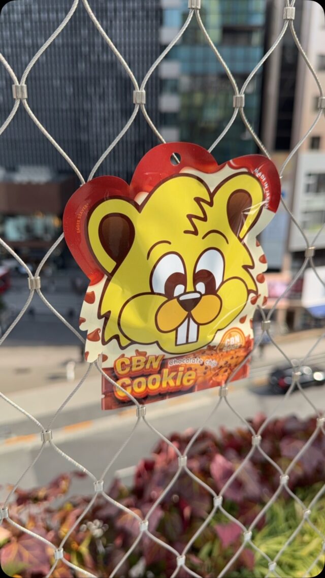 ＿＿＿＿＿＿＿＿＿＿＿＿＿＿＿＿＿＿＿＿＿＿

CBN中級者から上級者向け
しっかりとリラックス効果実感したい人へ
睡眠などにお困りの方などにおすすめ
CBNが高濃度であることが特徴です
CBN独特の苦味も抑えてあり
食べやすい仕上がりになっています

✔CBN500mg Cookie 
¥2,500（tax in)　1Peace

@eagerbeaver_cbd
プロフィールのURLから
公式オンラインショップにてご覧いただけます。

＿＿＿＿＿＿＿＿＿＿＿＿＿＿＿＿＿＿＿＿＿＿
#cbd #cbdクッキー